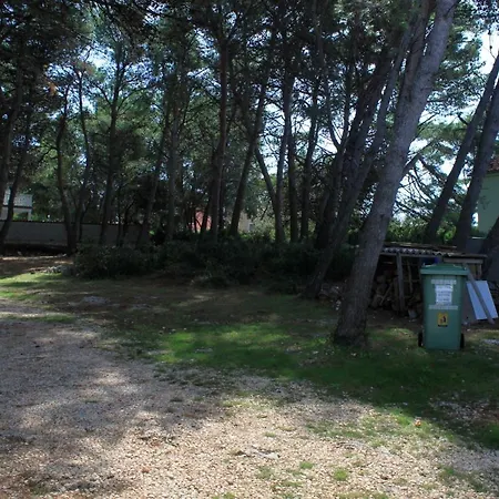 By The Sea Susica, - 3462